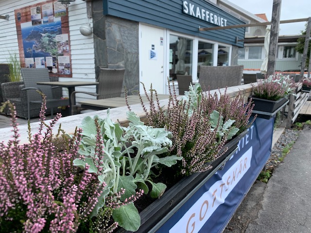 plantering på café, Larssons Trädgård